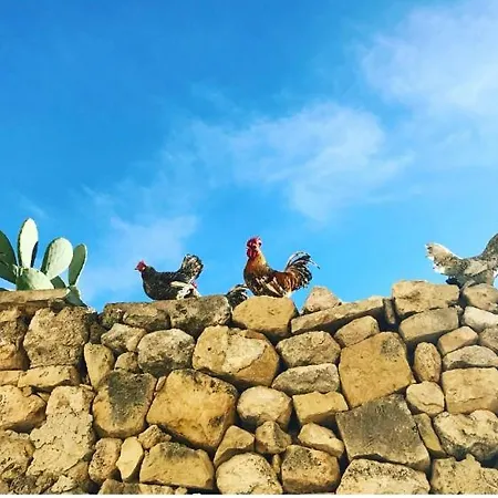 Sqaq Numru 1 Accomodation 3* Rabat