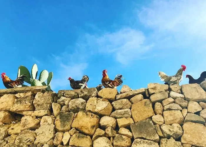 Sqaq Numru 1 Accomodation 3* Rabat